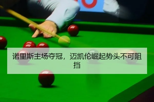 nuo-li-si-zhu-chang-duo-guan-mai-kai-lun-jue-qi-shi-tou-bu-ke-zu-dang-3-408.jpg