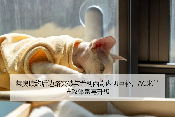 莱奥续约后边路突破与普利西奇内切互补，AC米兰进攻体系再升级